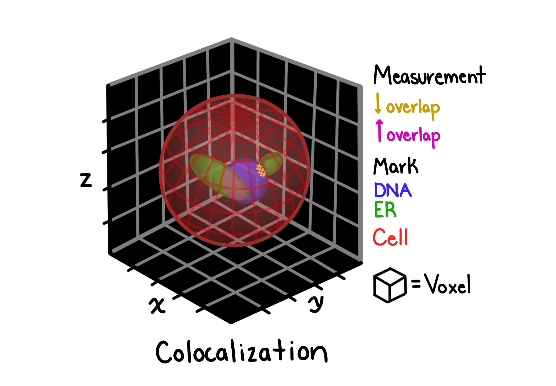 Colocalization features