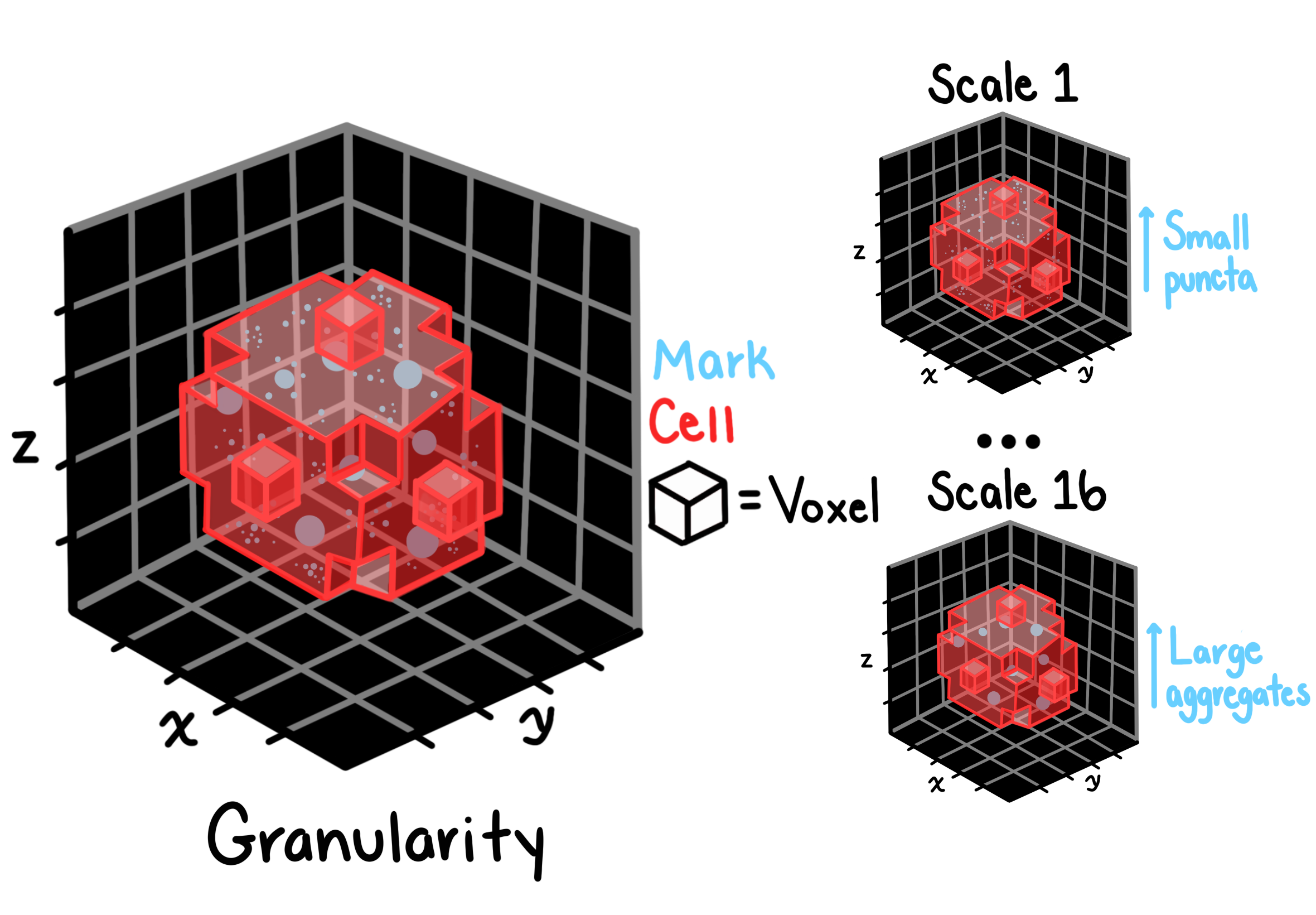 Granularity features